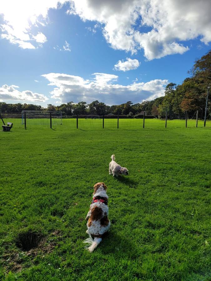 Campsite New Forest 2-bed Premium Home, Hoburne Bashley Park,new Milton, Park Leisure Pass At An Additonal Cost