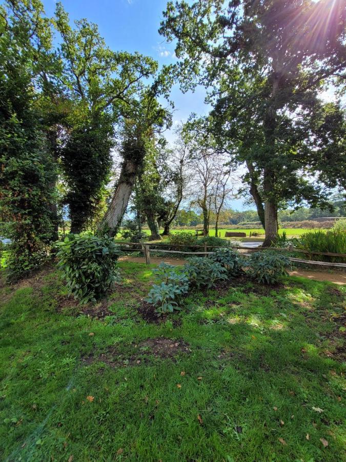 New Forest 2-bed Premium Home, Hoburne Bashley Park,new Milton, Park Leisure Pass At An Additonal Cost * New Milton